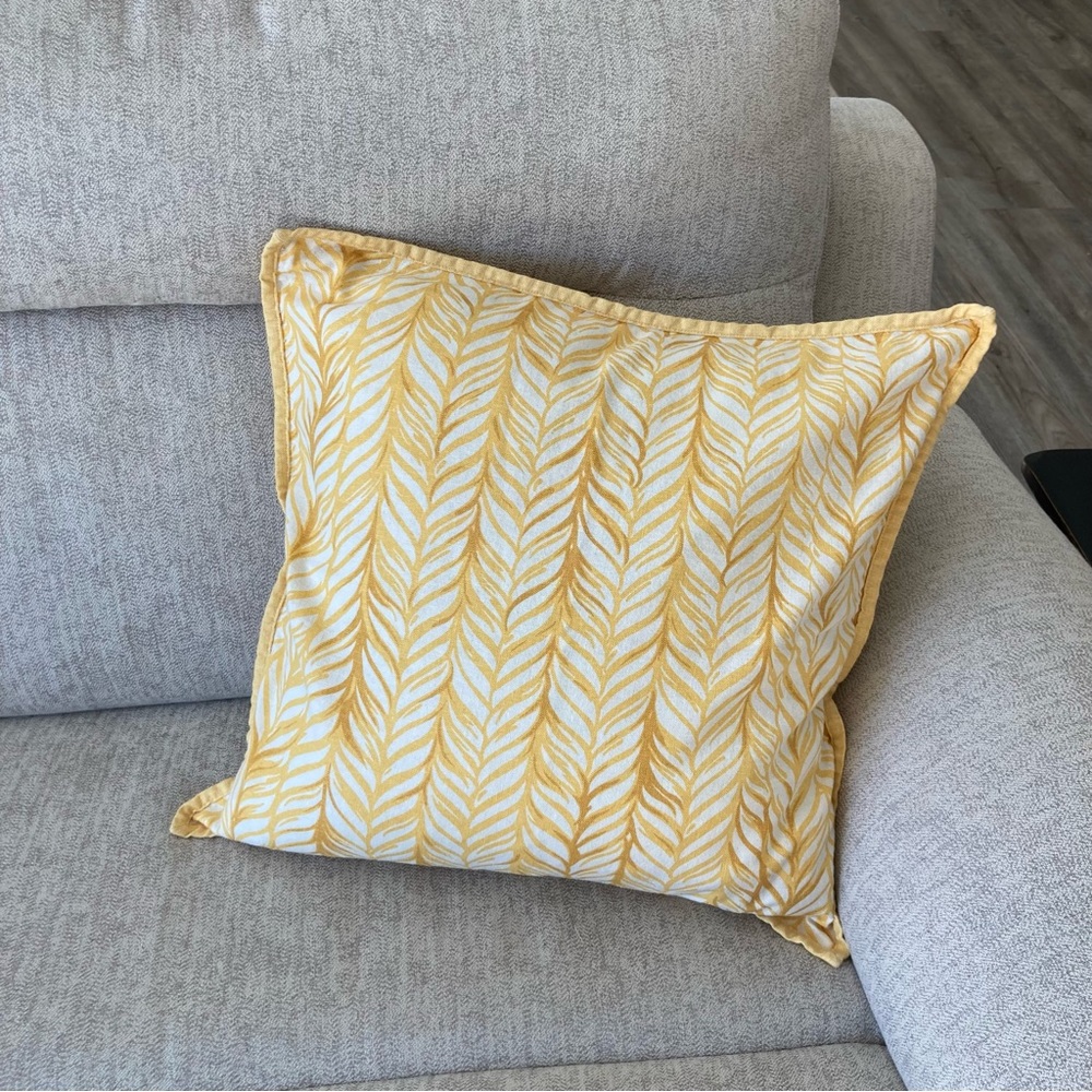 Pottery Barn Pillow Cover